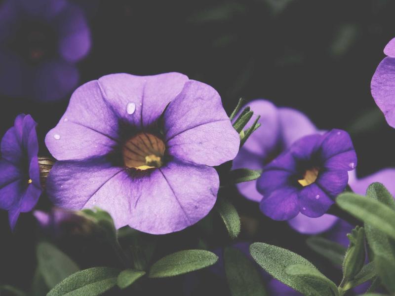 sudoku game online screenshot 5