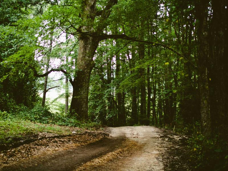 sudoku game online screenshot 2